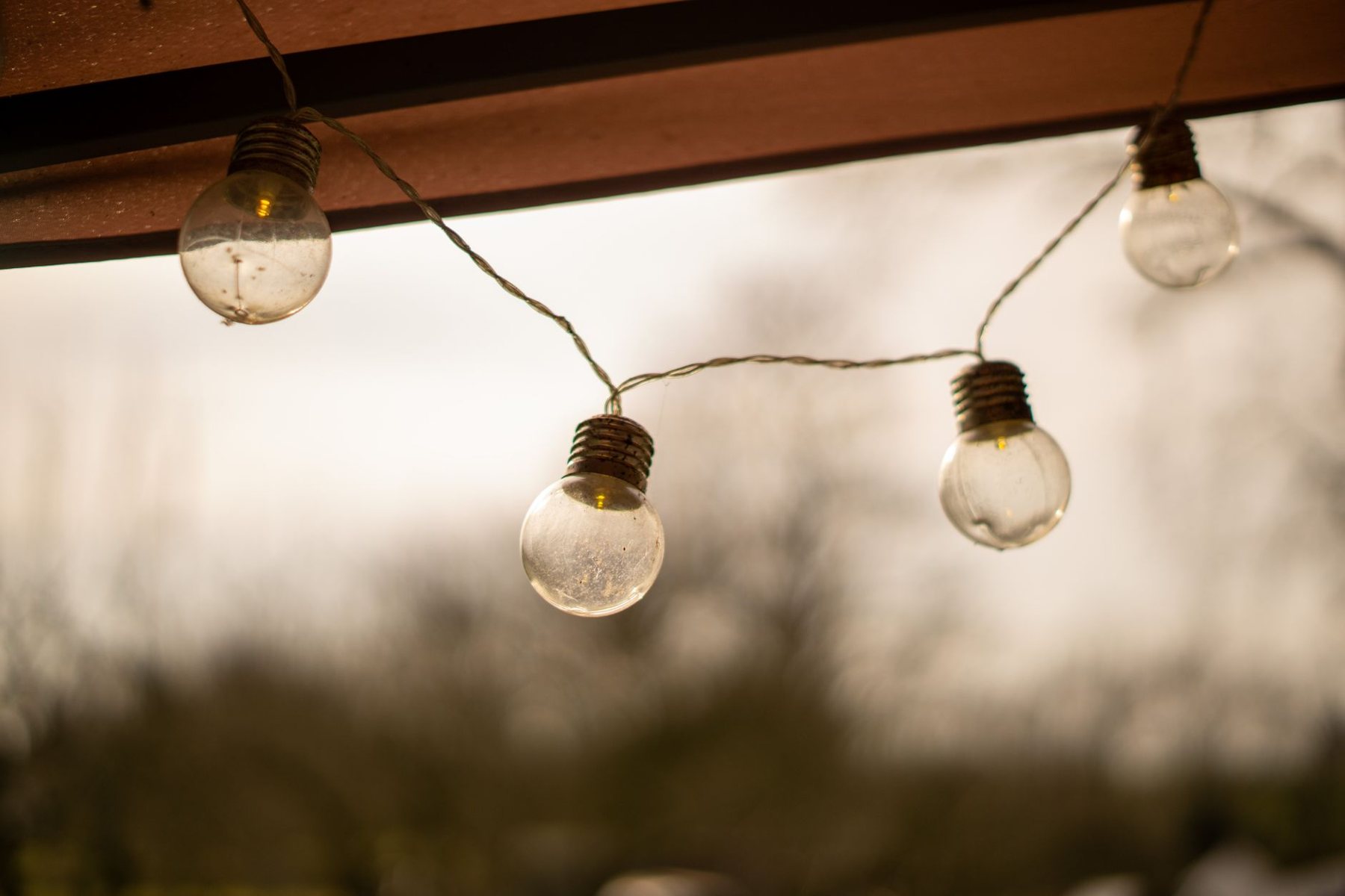 Landscape lighting at dusk in Phoenix, AZ